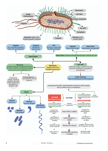 NCERT Biology Class-11 (Vol-1) by Sona Singh | Ideal for CBSE, NEET & CUET | Visual Concept Mapping, 190+ Flowcharts, 560+ Diagrams, Story-Based Learning | NCERT Bio Class-XI Prep
