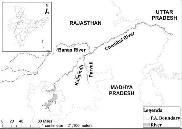 Modified Parbati-Kalisindh-Chambal-ERCP Link Project - INSIGHTSIAS