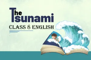 The Tsunami class 8 english summary